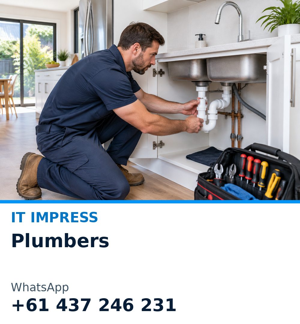 Plumbers promotional illustration